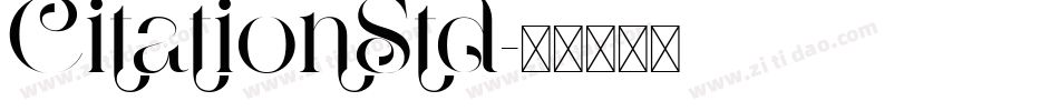 CitationStd字体转换