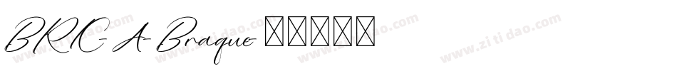 BRIC-A-Braque字体转换