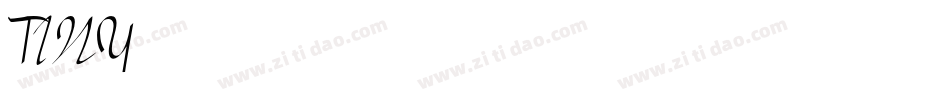 TINY字体转换