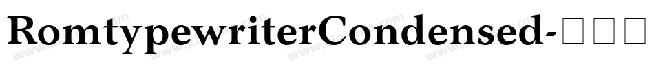 RomtypewriterCondensed字体转换
