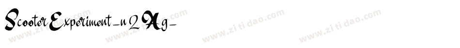 ScooterExperiment-n2Ag字体转换