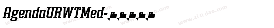 AgendaURWTMed字体转换