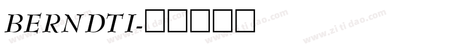 BERNDTI字体转换