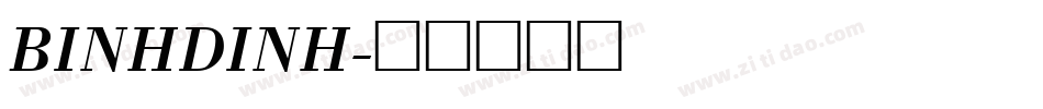 BINHDINH字体转换