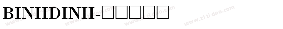 BINHDINH字体转换