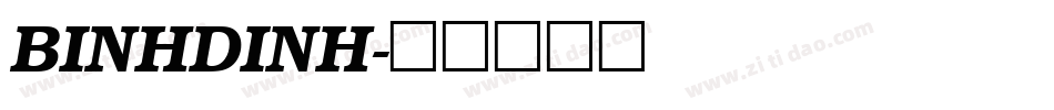 BINHDINH字体转换