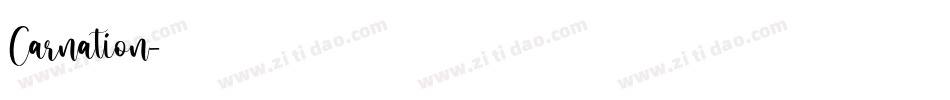 Carnation字体转换
