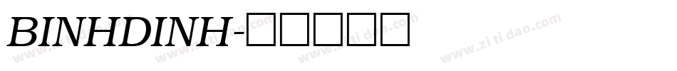 BINHDINH字体转换