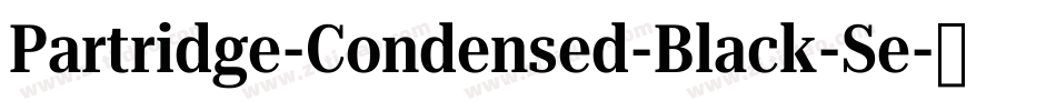 Partridge-Condensed-Black-Se字体转换