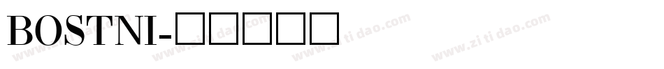 BOSTNI字体转换