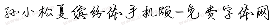 孙小松夏缤纷体手机版字体转换