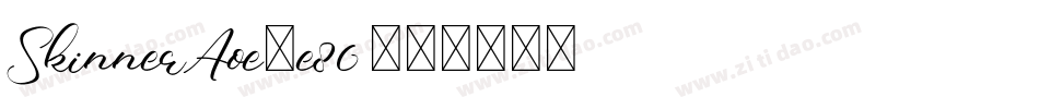 SkinnerAoe-e86字体转换