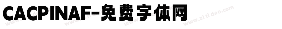 CACPINAF字体转换