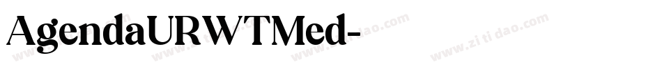 AgendaURWTMed字体转换