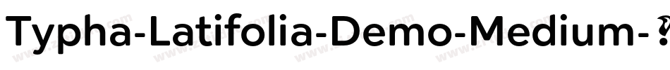 Typha-Latifolia-Demo-Medium字体转换
