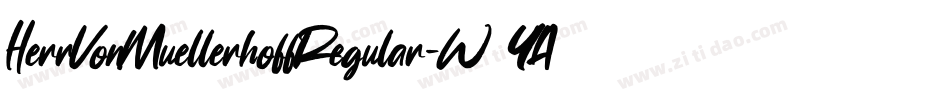 HerrVonMuellerhoffRegular-W5YA字体转换