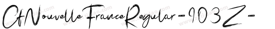CfNouvelleFranceRegular-903Z字体转换