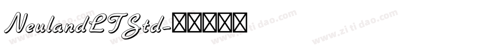 NeulandLTStd字体转换