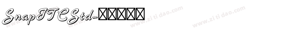 SnapITCStd字体转换