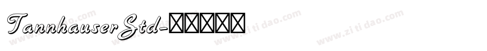 TannhauserStd字体转换