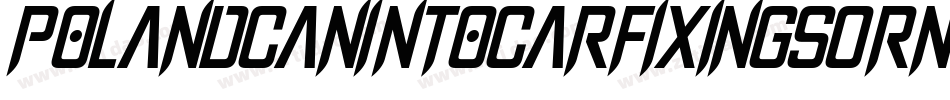 PolandCanIntoCarFixingsOrNot-YWYj字体转换