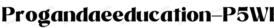 Progandaeeducation-P5WB字体转换