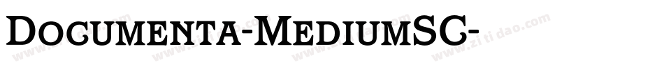 Documenta-MediumSC字体转换