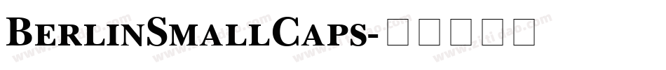 BerlinSmallCaps字体转换