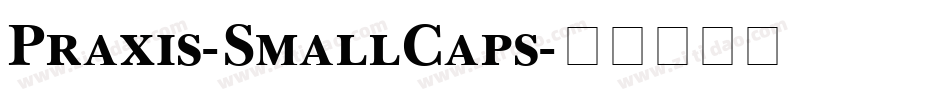 Praxis-SmallCaps字体转换