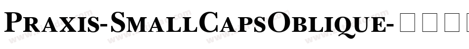 Praxis-SmallCapsOblique字体转换
