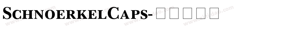 SchnoerkelCaps字体转换