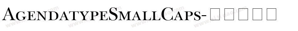 AgendatypeSmallCaps字体转换