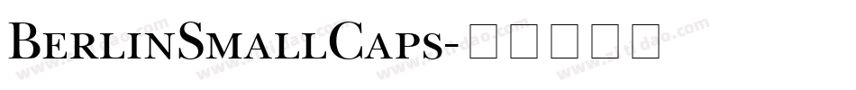 BerlinSmallCaps字体转换