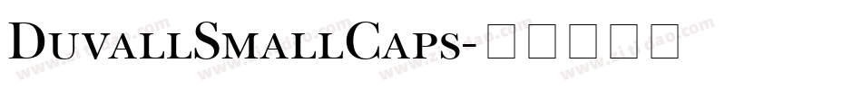 DuvallSmallCaps字体转换