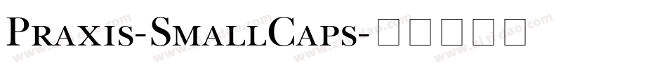 Praxis-SmallCaps字体转换