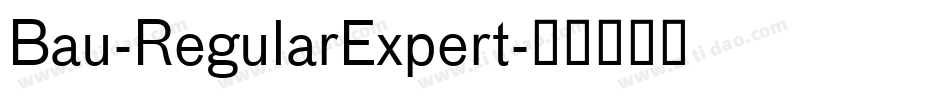 Bau-RegularExpert字体转换