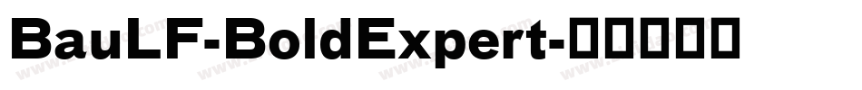 BauLF-BoldExpert字体转换