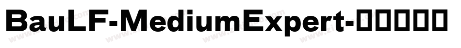 BauLF-MediumExpert字体转换