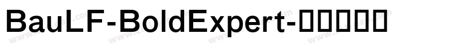 BauLF-BoldExpert字体转换