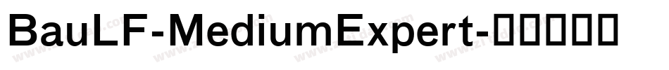 BauLF-MediumExpert字体转换