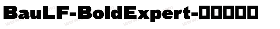 BauLF-BoldExpert字体转换