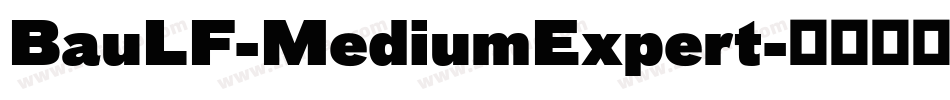 BauLF-MediumExpert字体转换