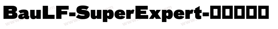 BauLF-SuperExpert字体转换