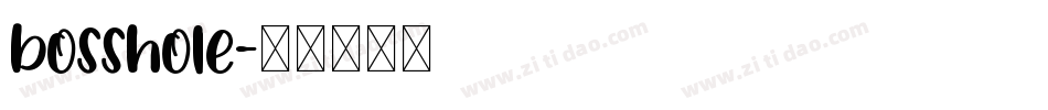 bosshole字体转换