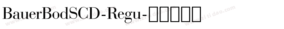 BauerBodSCD-Regu字体转换