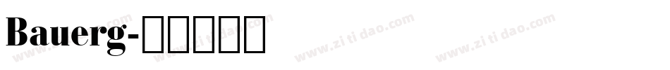 Bauerg字体转换