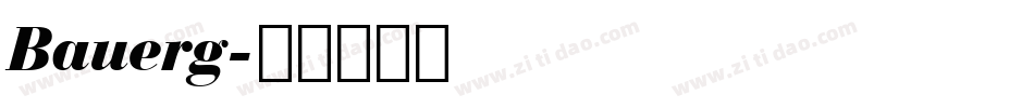 Bauerg字体转换