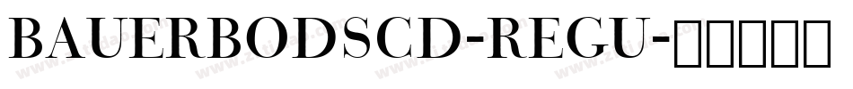 BauerBodSCD-Regu字体转换