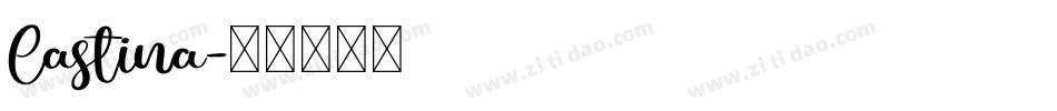 Castina字体转换
