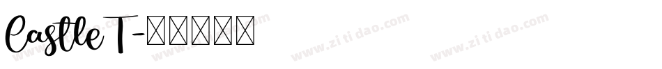 CastleT字体转换